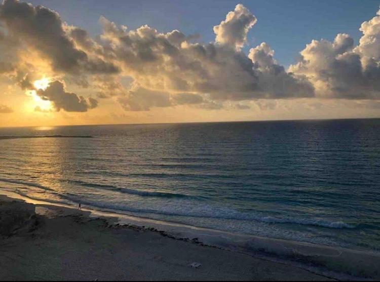 Studio Oceanfront Prime Location Cancún Eksteriør bilde